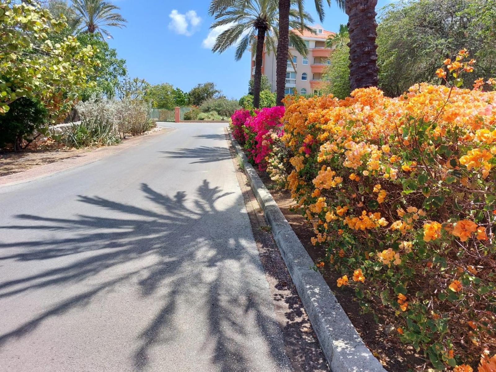 Dorp Sint Michiel Piscadera Bay Resort #16 מראה חיצוני תמונה